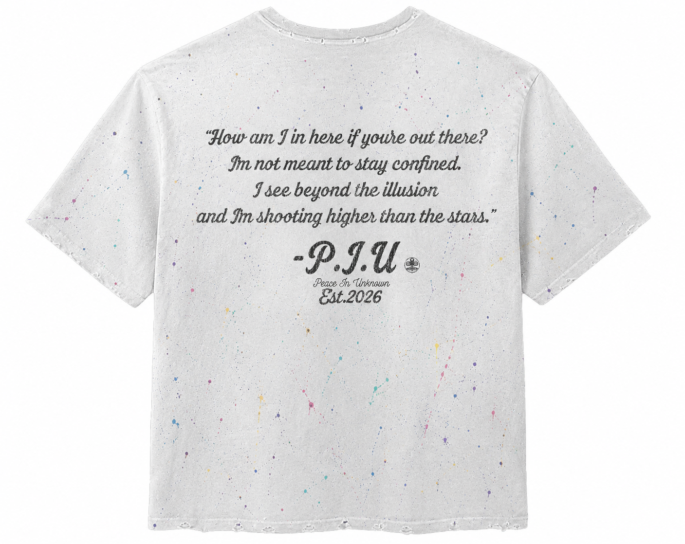 PAINT SPLATTER 🫟 Thinking Outside The Box (t-shirt)